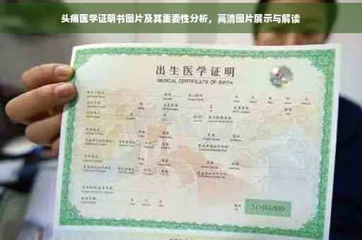 头痛医学证明书图片及其重要性分析，高清图片展示与解读