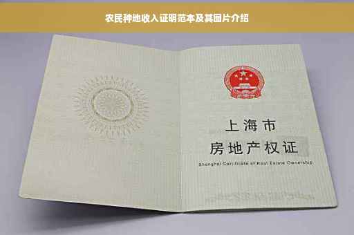 农民种地收入证明范本及其图片介绍