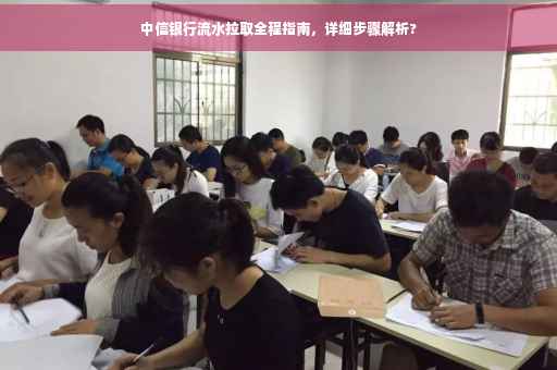 中信银行流水拉取全程指南，详细步骤解析?