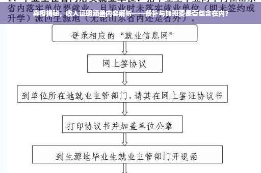 真相揭秘，收入证明涵盖内容解析——餐补与加班费是否包含在内？