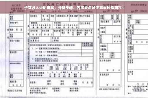 子女收入证明详解，开具步骤、内容要点及注意事项指南?⚡️