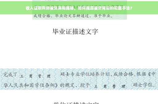 收入证明购房骗贷真相揭秘，如何揭露骗贷背后的犯罪手法？