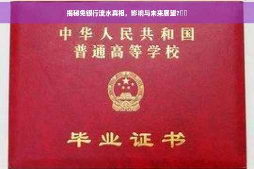 揭秘免银行流水真相，影响与未来展望?⚡️
