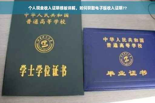 个人现金收入证明模板详解，如何获取电子版收入证明??