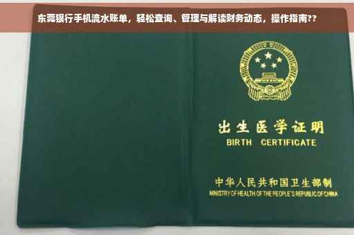 东莞银行手机流水账单，轻松查询、管理与解读财务动态，操作指南??