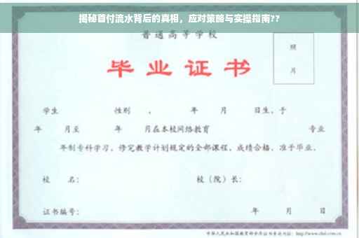 揭秘首付流水背后的真相，应对策略与实操指南??