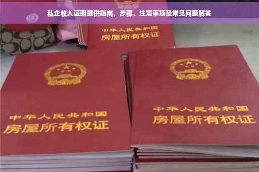 私企收入证明提供指南，步骤、注意事项及常见问题解答