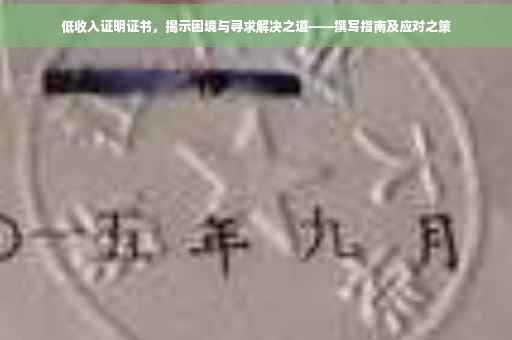 低收入证明证书，揭示困境与寻求解决之道——撰写指南及应对之策