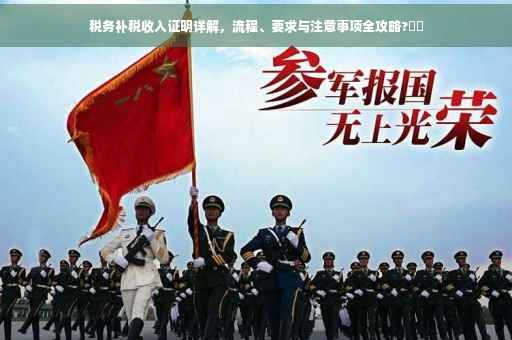 税务补税收入证明详解，流程、要求与注意事项全攻略?⚡️