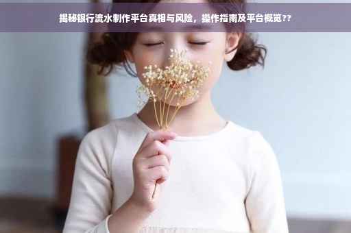 揭秘银行流水制作平台真相与风险，操作指南及平台概览??