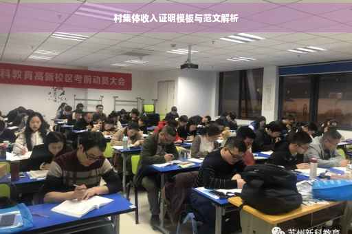 村集体收入证明模板与范文解析