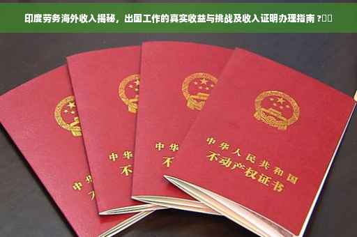 印度劳务海外收入揭秘，出国工作的真实收益与挑战及收入证明办理指南 ?⚡️