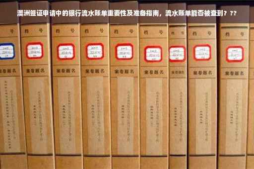 澳洲签证申请中的银行流水账单重要性及准备指南，流水账单能否被查到？??