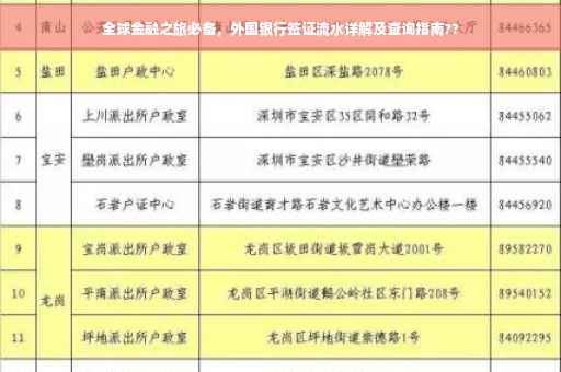 全球金融之旅必备，外国银行签证流水详解及查询指南??