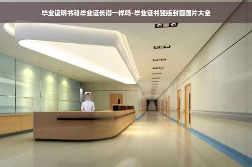 毕业证明书和毕业证长得一样吗-毕业证书竖版封面图片大全