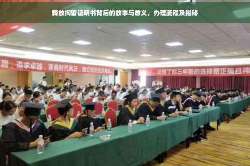 释放拘留证明书背后的故事与意义，办理流程及揭秘
