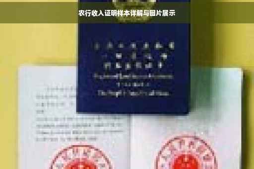 农行收入证明样本详解与图片展示