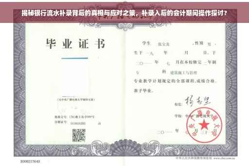 揭秘银行流水补录背后的真相与应对之策，补录入后的会计期间操作探讨?