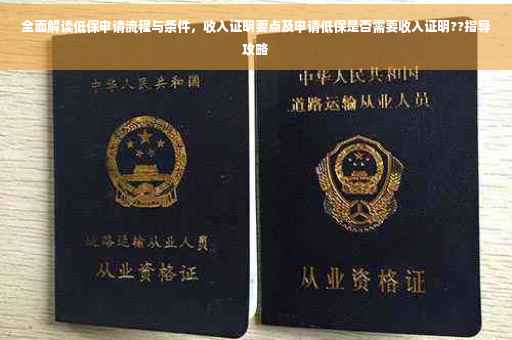 全面解读低保申请流程与条件，收入证明要点及申请低保是否需要收入证明??指导攻略
