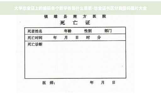 大学毕业证上的编码各个数字各是什么意思-毕业证书区分真假吗图片大全