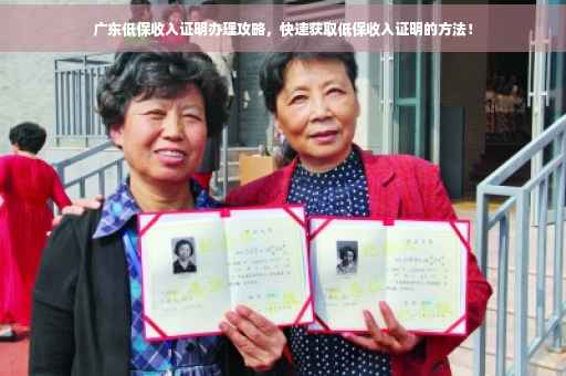 广东低保收入证明办理攻略，快速获取低保收入证明的方法！