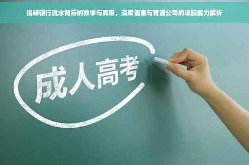 揭秘银行流水背后的故事与真相，深度调查与背调公司的追踪能力解析