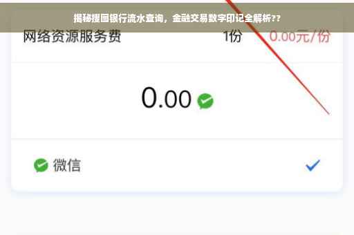 揭秘搜图银行流水查询，金融交易数字印记全解析??