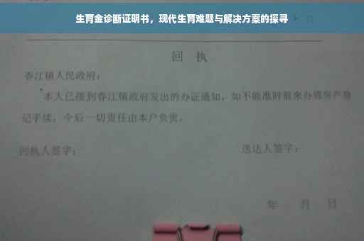 生育金诊断证明书，现代生育难题与解决方案的探寻