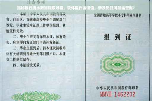 揭秘银行流水数据提取过程，软件操作需谨慎，涉及犯罪问题需警惕?