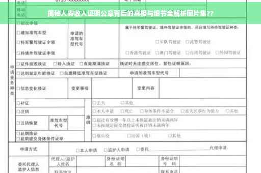 揭秘人寿收入证明公章背后的真相与细节全解析图片集??