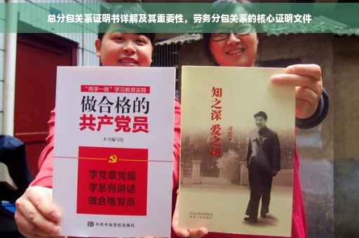 总分包关系证明书详解及其重要性，劳务分包关系的核心证明文件