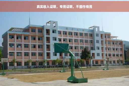 真实收入证明，专用证明，不挪作他用