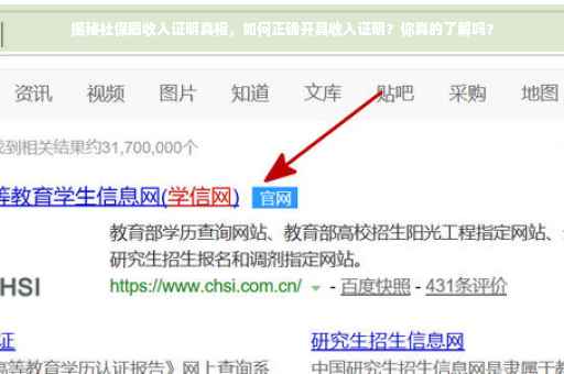 揭秘社保局收入证明真相，如何正确开具收入证明？你真的了解吗？