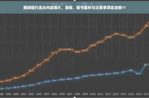 揭秘银行流水内容图片，真相、细节解析与注意事项全攻略??