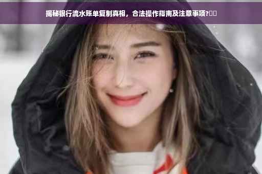 揭秘银行流水账单复制真相，合法操作指南及注意事项?⚡️