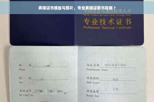 素描证书模板与图片，专业素描证明书指南 ?