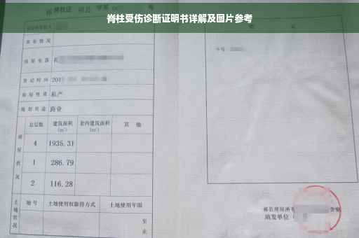脊柱受伤诊断证明书详解及图片参考