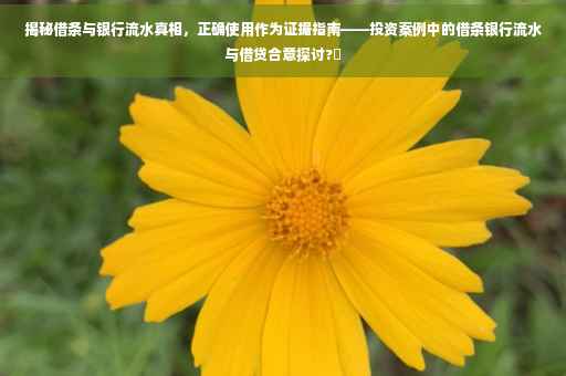 揭秘借条与银行流水真相，正确使用作为证据指南——投资案例中的借条银行流水与借贷合意探讨?✨