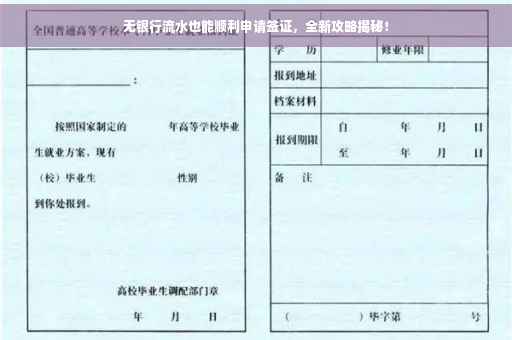 无银行流水也能顺利申请签证，全新攻略揭秘！