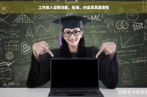 工作收入证明详解，标准、内容及其重要性