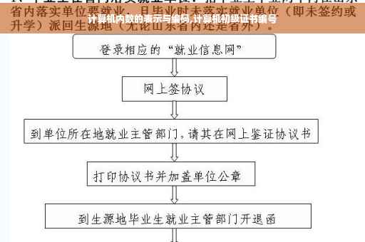 计算机内数的表示与编码,计算机初级证书编号