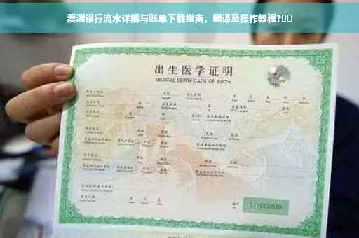 澳洲银行流水详解与账单下载指南，翻译及操作教程?⚡️