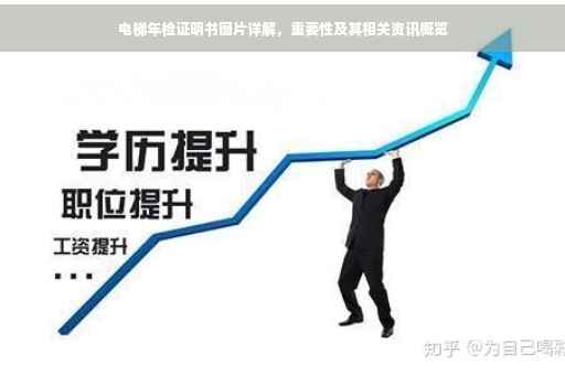 电梯年检证明书图片详解，重要性及其相关资讯概览