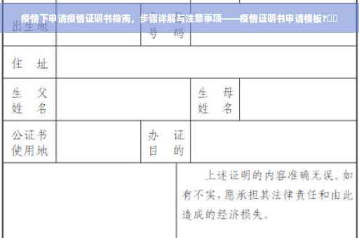 疫情下申请疫情证明书指南，步骤详解与注意事项——疫情证明书申请模板?⚡️