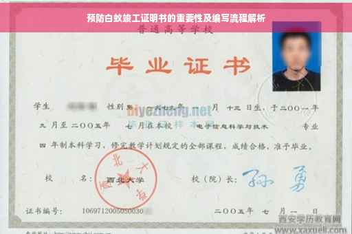 预防白蚁竣工证明书的重要性及编写流程解析