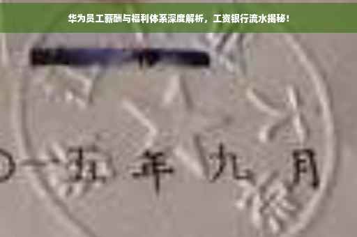华为员工薪酬与福利体系深度解析，工资银行流水揭秘！