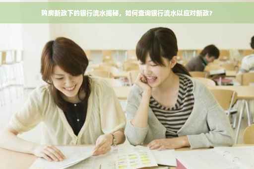 购房新政下的银行流水揭秘，如何查询银行流水以应对新政？