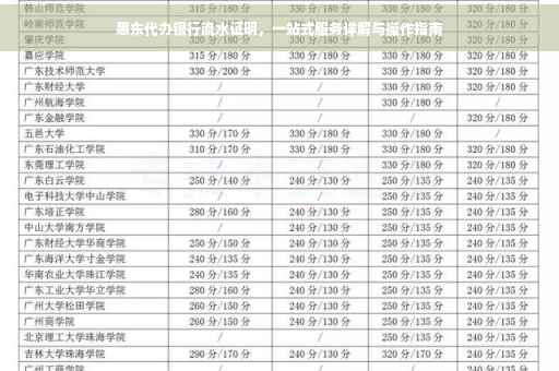 惠东代办银行流水证明，一站式服务详解与操作指南