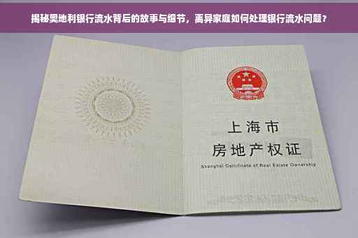 揭秘奥地利银行流水背后的故事与细节，离异家庭如何处理银行流水问题？