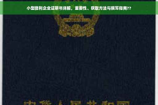 小型微利企业证明书详解，重要性、获取方法与撰写指南??